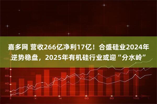 嘉多网 营收266亿净利17亿！合盛硅业2024年逆势稳盘，2025年有机硅行业或迎“分水岭”