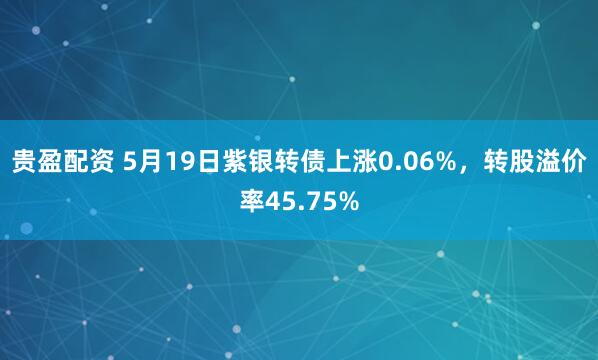 贵盈配资 5月19日紫银转债上涨0.06%，转股溢价率45.75%