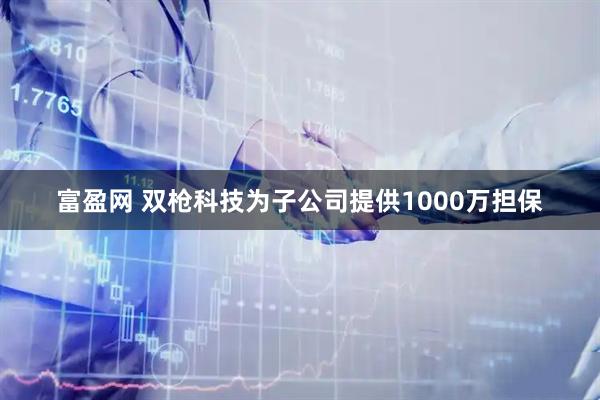 富盈网 双枪科技为子公司提供1000万担保