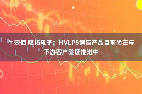 牛壹佰 隆扬电子：HVLP5铜箔产品目前尚在与下游客户验证推进中