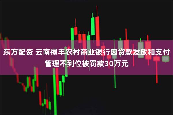 东方配资 云南禄丰农村商业银行因贷款发放和支付管理不到位被罚款30万元